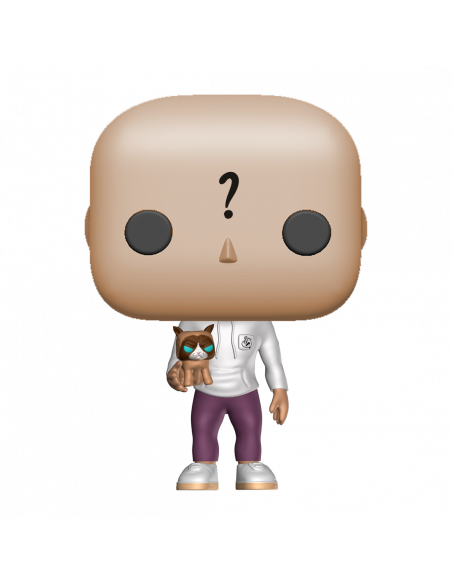 Chat Funko pop personnalisé Chat Funko pop personnalisé